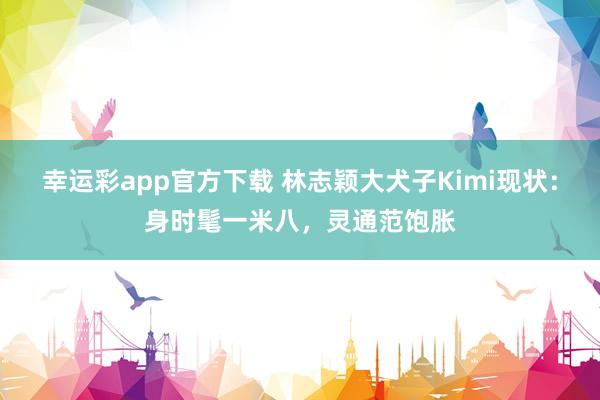 幸运彩app官方下载 林志颖大犬子Kimi现状：身时髦一米八，灵通范饱胀
