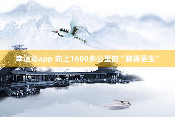 幸运彩app 向上1600多公里的“脚踝更生”