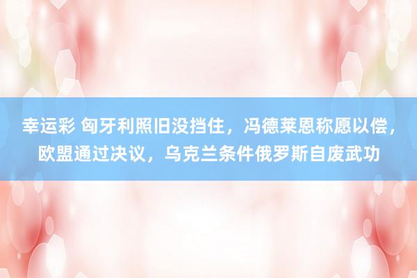 幸运彩 匈牙利照旧没挡住，冯德莱恩称愿以偿，欧盟通过决议，乌克兰条件俄罗斯自废武功