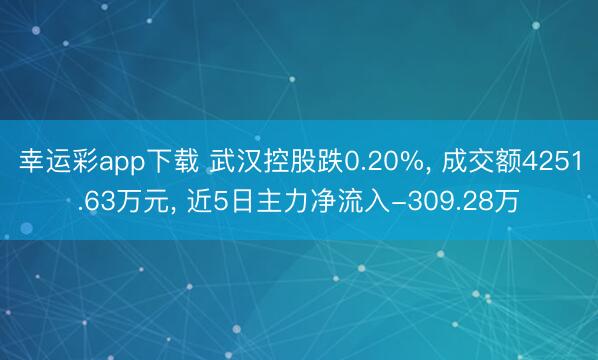 幸运彩app下载 武汉控股跌0.20%， 成交额4251.63万元， 近5日主力净流入-309.28万